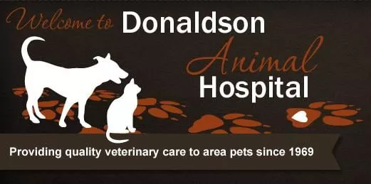 Donaldson Animal Hospital, Michigan, Lake Orion